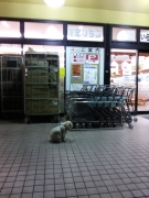 20131227233158277.jpg