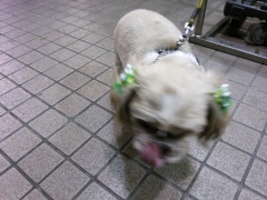 201312272334022b3.jpg