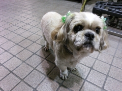 20131227233423cf1.jpg