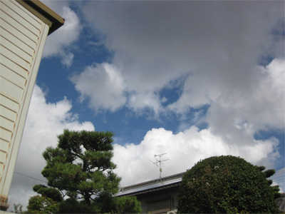 夏や往く