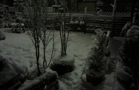 DSC00216a.jpg