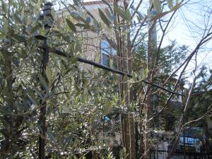 IMG_2439_convert_20131210150058.jpg
