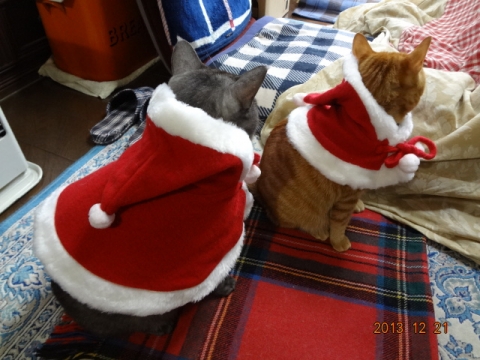 DSC00697.jpg