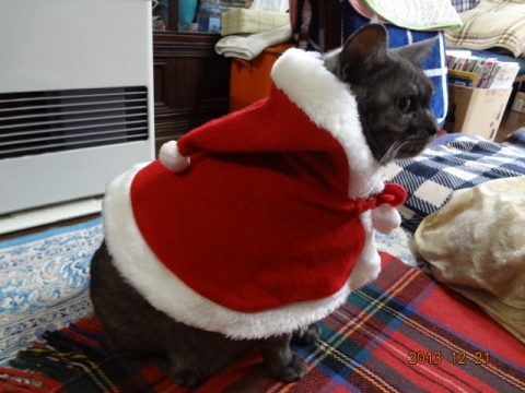 DSC00702.jpg