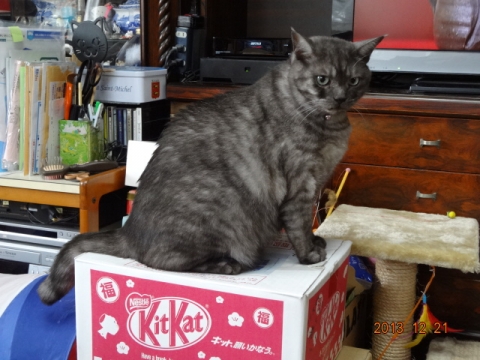 DSC00706.jpg