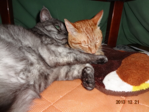 DSC00716.jpg