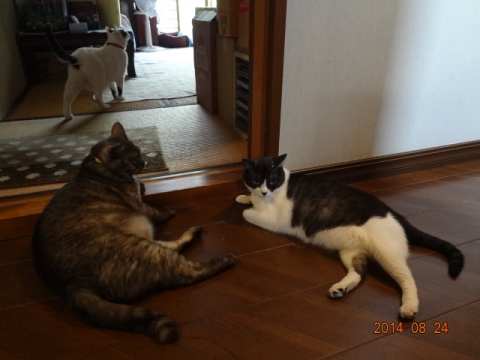 DSC03793.jpg