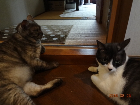DSC03798.jpg