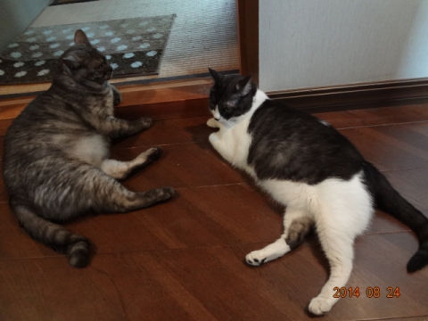 DSC03799.jpg