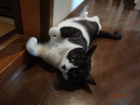 DSC03805.jpg