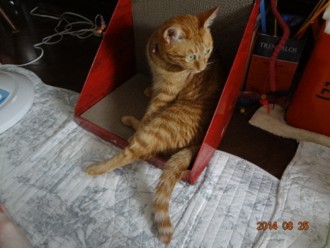 DSC03827.jpg