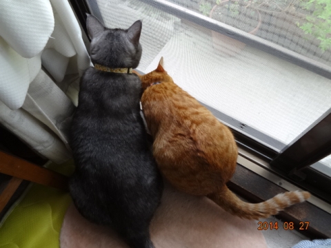 DSC03857.jpg