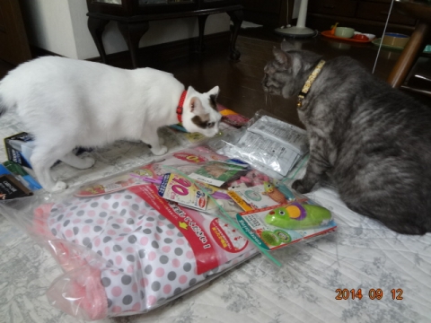 DSC04101.jpg
