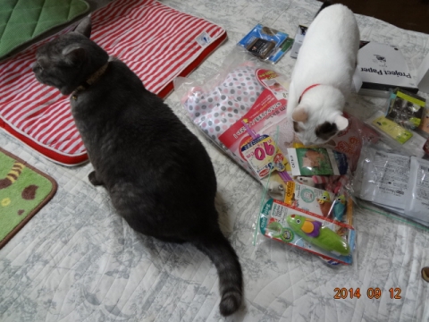 DSC04106.jpg