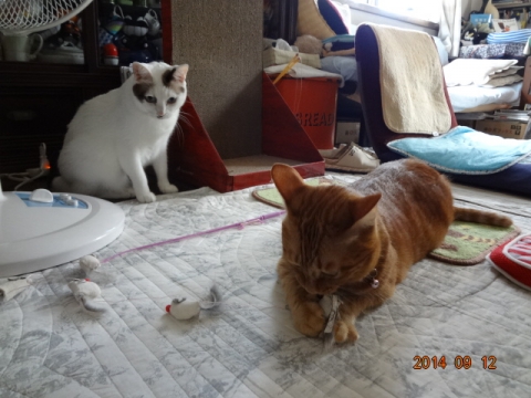 DSC04120.jpg