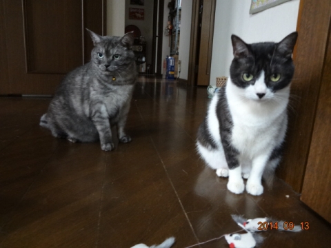 DSC04148.jpg