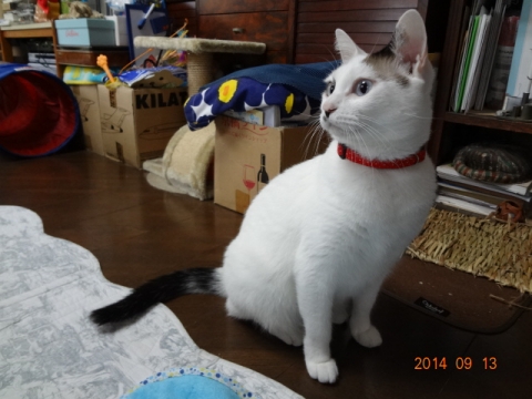 DSC04160.jpg