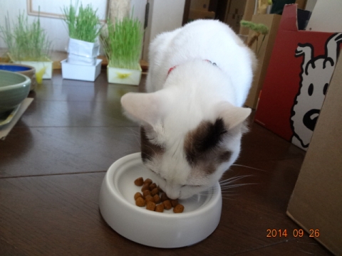 DSC04502.jpg