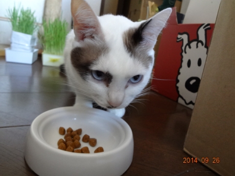DSC04505.jpg