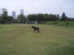 PA060041.jpg