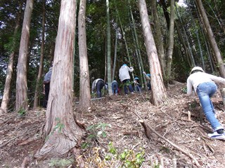 2012年4月 やまんば 4