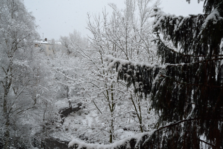 雪景色