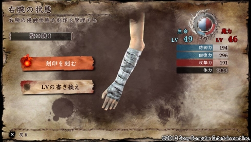 聖の腕1.jpg