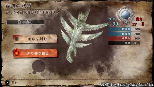 聖の腕6.jpg