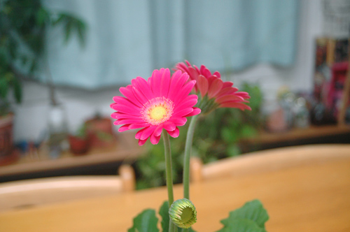 130304_masuda.jpg