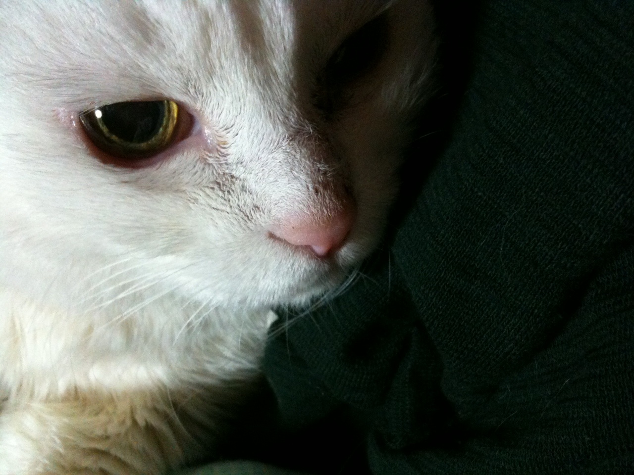 image.jpg