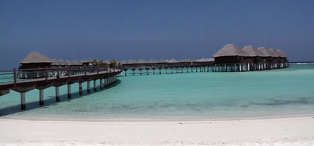 capture0016.jpg