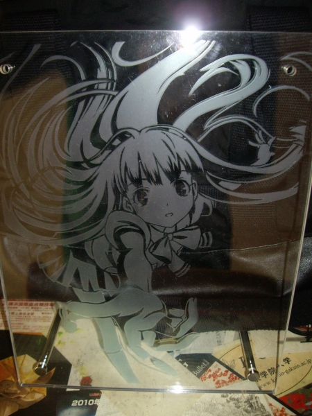 IMGP3480 (960x1280)