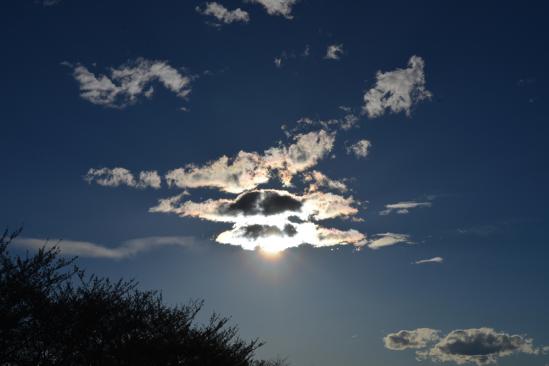 DSC_2726.jpg