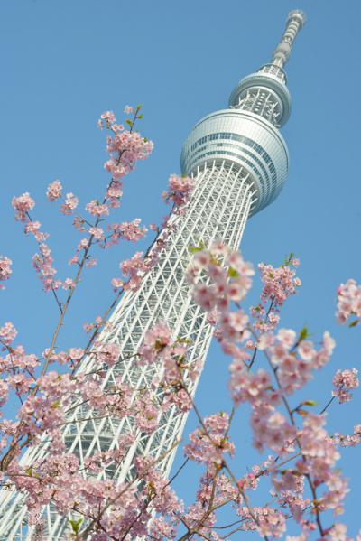 gfgdfdf1094_20130310165301.jpg