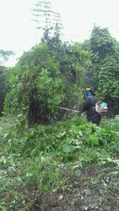 201105281235001.jpg