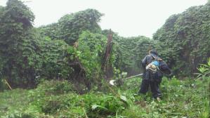 201105281242000.jpg