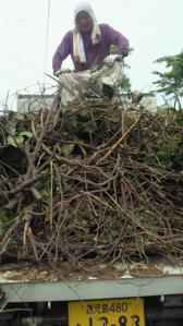 201106250951001.jpg
