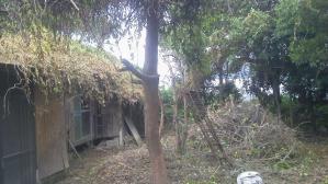 201106271122000.jpg