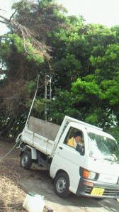 201107020851000.jpg