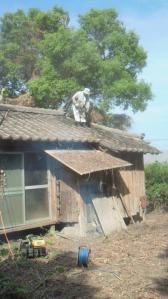 201107310843000.jpg