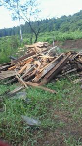 201108100737000.jpg