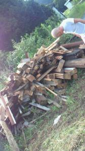 201108100738000.jpg
