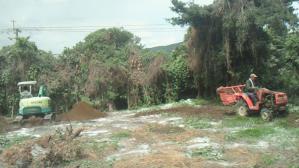 201109111145003.jpg