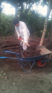 201202051152000.jpg