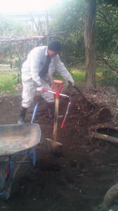 201202051158000.jpg