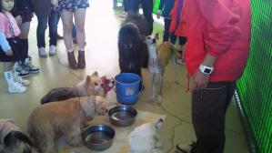 201204011421000.jpg