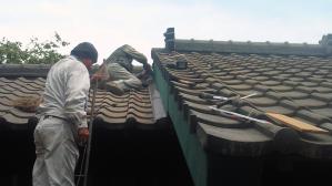 201204291137000.jpg