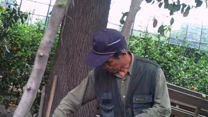 201204291329001.jpg