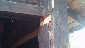 201204291436000.jpg