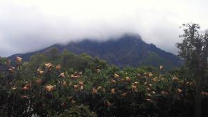 201204301754000.jpg
